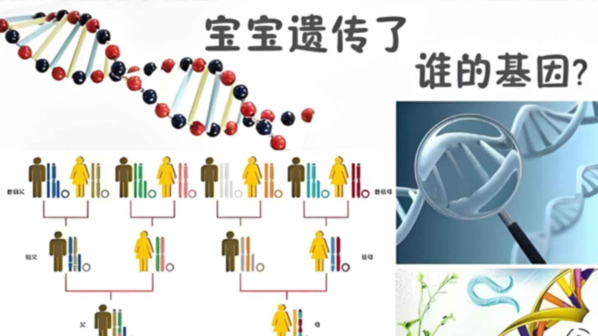 宁波宁海区做产前亲子鉴定的流程是什么