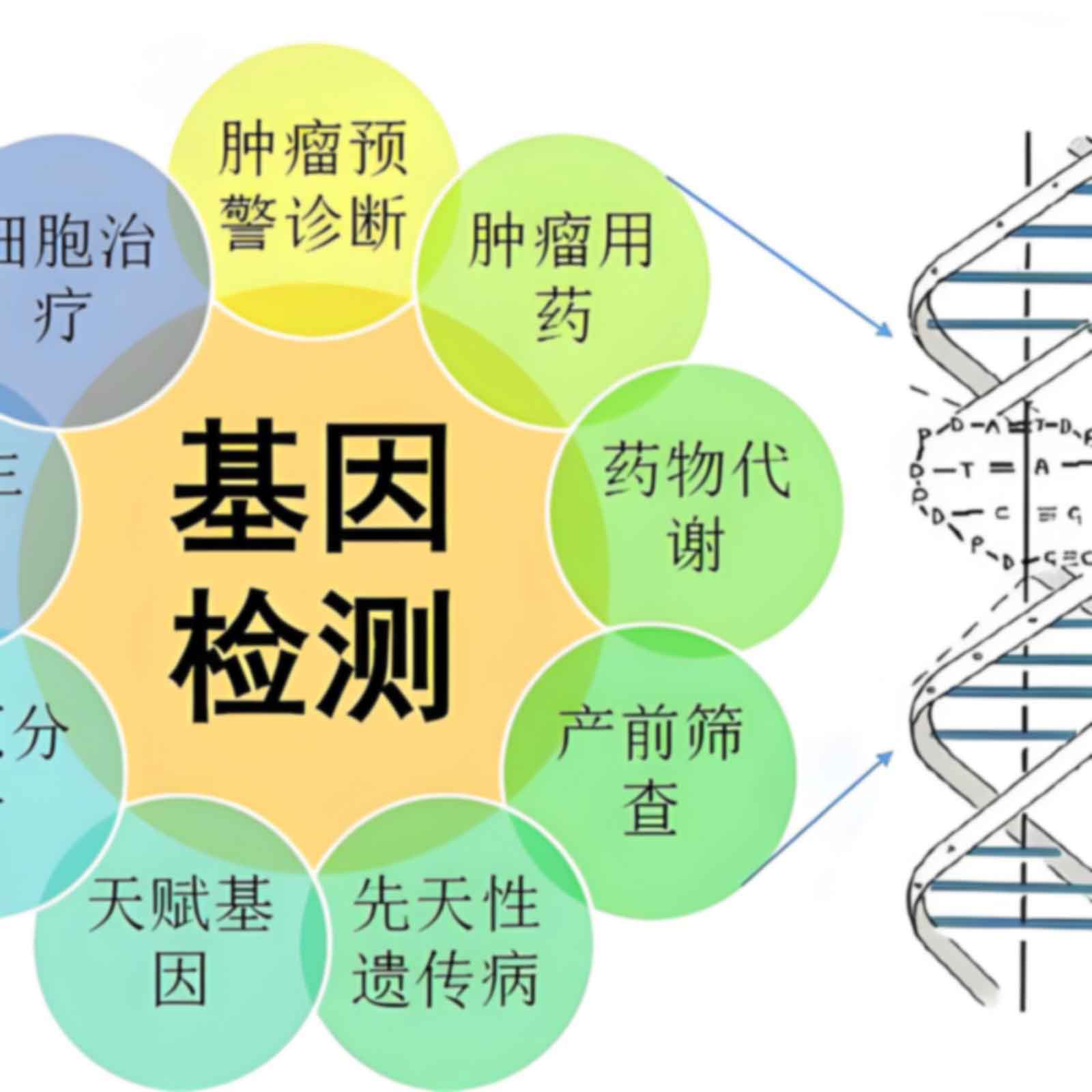 宁波海曙区怀孕亲子鉴定需要多少钱